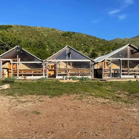 Camping Cajupi Gjirokastër Dış mekan fotoğraf